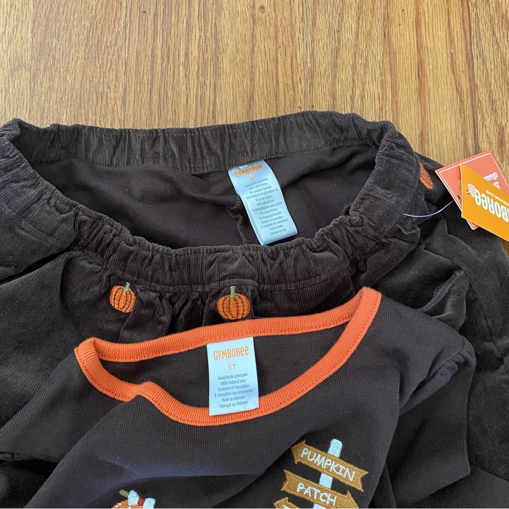 Gymboree Pumpkin Patch Girls Set - Picture 9 of 10